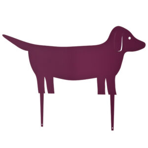 Dackel - Image 7