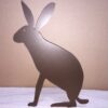 Hase - Image 7