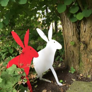 Hase - Image 2