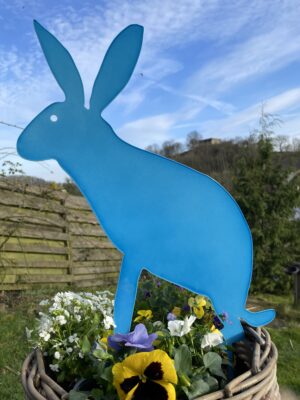 Hase - Image 10