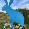 Hase - Image 10