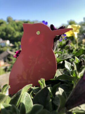 Sommer-Specht 2020 - Image 2