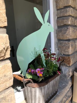 Hase - Image 6