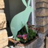 Hase - Image 6