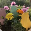 Sommer-Spechte 2022 - Image 2