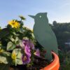 Sommer-Spechte 2022 - Image 3