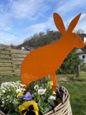 Hase - Image 11