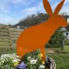 Hase - Image 11